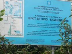 Hutan Produksi Bukit Betung Sambung Giri Mulai Kembali Beraktivitas