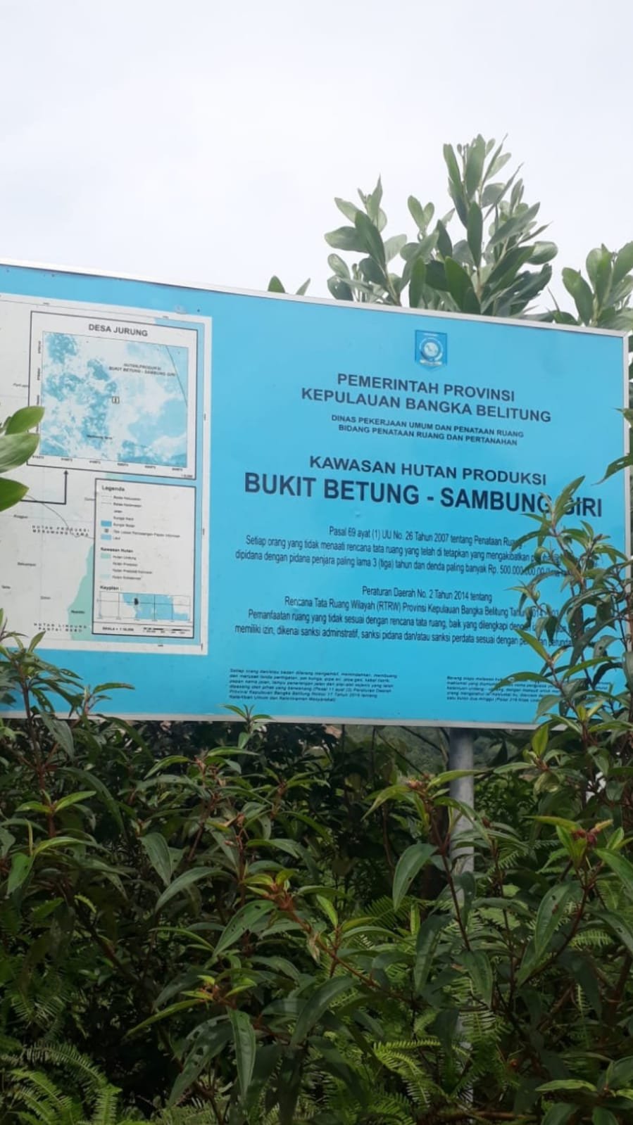 Hutan Produksi Bukit Betung Sambung Giri Mulai Kembali Beraktivitas