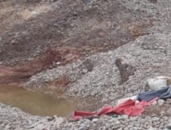 Hutan Produksi Bukit Betung Sambung Giri Mulai Kembali Beraktivitas