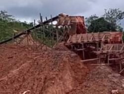 Bukit Senggiri Tempilang Bangka Barat Dihajar Penambang Timah Ilegal