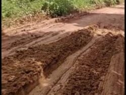 Jalan Penghubung Desa Bedengung Ke Desa Nyelanding Basel Sampai Saat Ini Belum Ada Tindakan Untuk di Perbaiki.