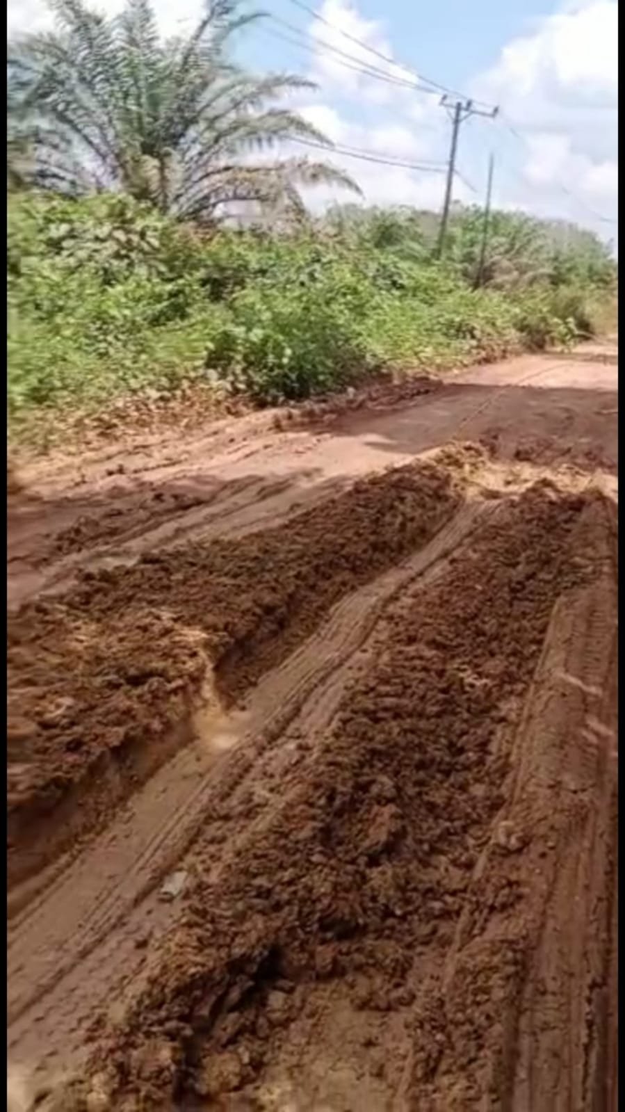 Jalan Penghubung Desa Bedengung Ke Desa Nyelanding Basel Sampai Saat Ini Belum Ada Tindakan Untuk di Perbaiki.