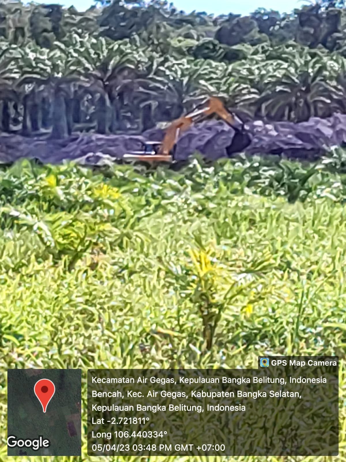 Kawasan Hutan Produksi Penambang Timah Diduga Illegal Semakin Meraja Lela