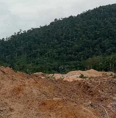 Aktivitas Tambang Timah diduga Illegal Dikawasan Hutan Produksi Bukit Muntai Keposang Toboali.