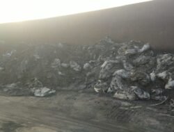 Kapal Bermuatan Pasir Zirkon Masih Tertahan di Dermaga Airanyir