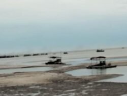 Sudah Sering Terjadi Korban Meninggal Dunia Aktivitas Tambang Timah Lautan Suka Damai Masih Membandel