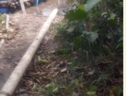 Aktivitas Tambang Timah Diduga Iilegal Kembali Beraktivitas Kawasan Bakau Kuruk Belo Laut