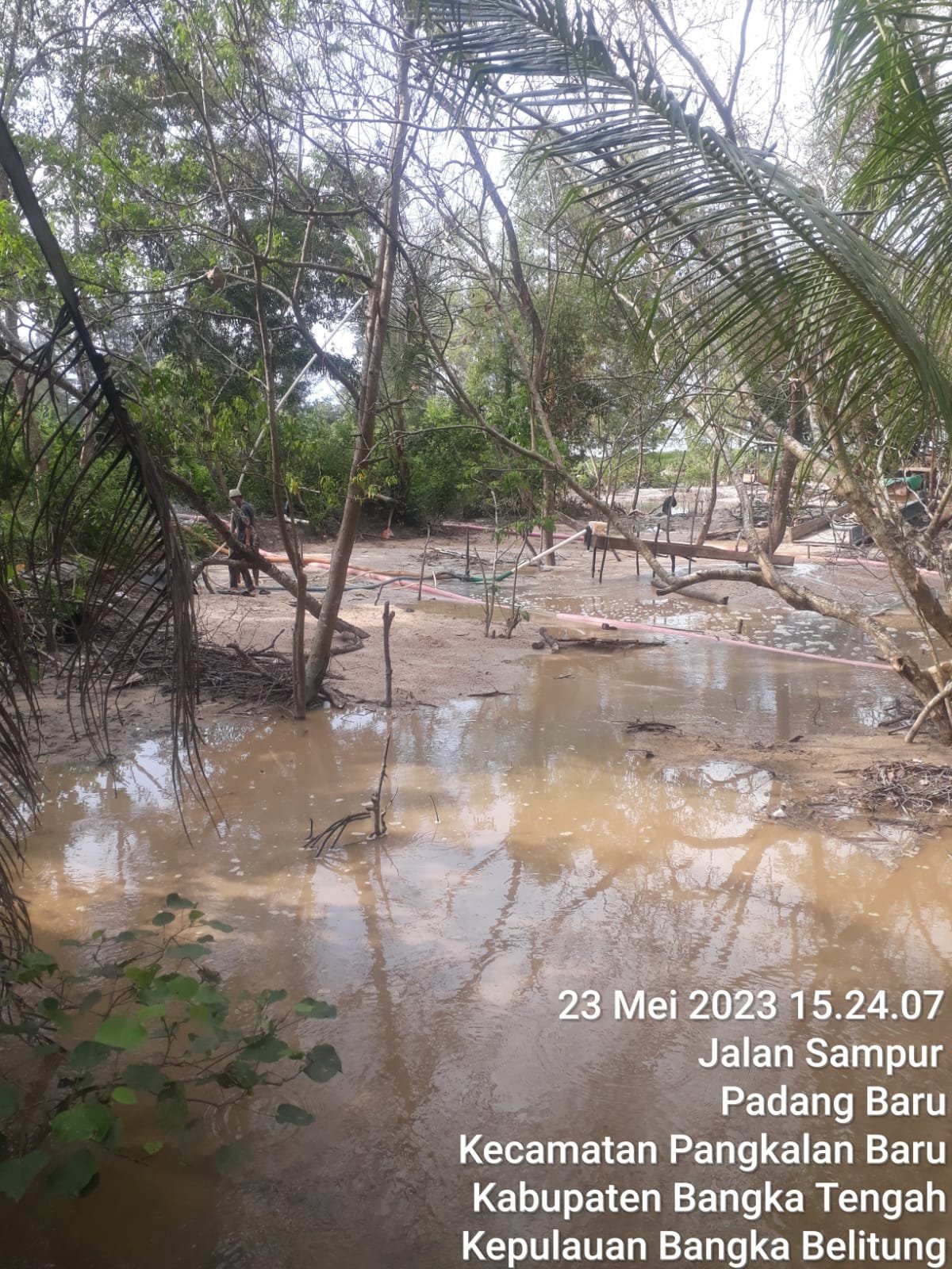 Aktivitas Tambang Timah Diduga Ilegal di Pantai Sampur dan Kawasan Bakau Bangka Tengah