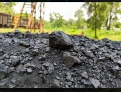 Profil SBS, Kontraktor Tambang Yang Seret Mantan Direktur PT. Bukit Asam Ke Kasus Korupsi