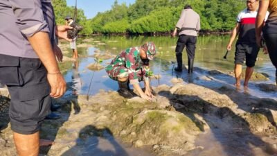 TNI-Polri di Klungkung Bergerak Tanam Mangrove