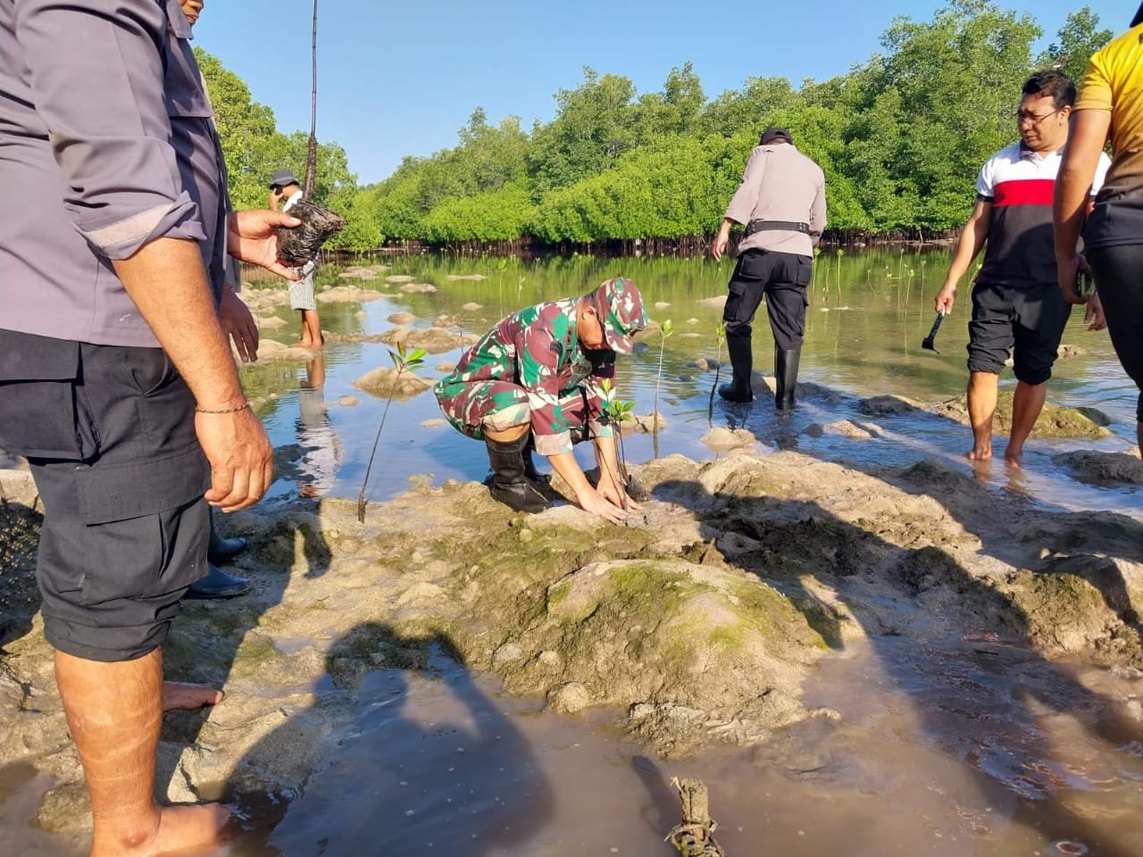 TNI-Polri di Klungkung Bergerak Tanam Mangrove