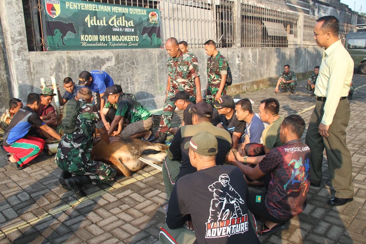 Berkah Hari Raya Idul Adha 1444 H, Kodim 0815/Mojokerto Bagikan Daging Kurban