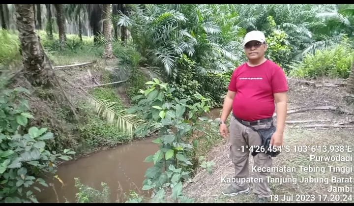 Sertifikasi RSPO dan ISPO Agrowiyana Bakri Grup di Tanjabbar Diragukan