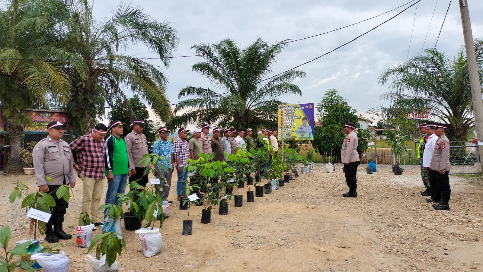 Kegiatan Penanaman Bibit Pohon Dalam Rangka HUT Republik Indonesia Ke 78 Di Kecamatan Nurussalam