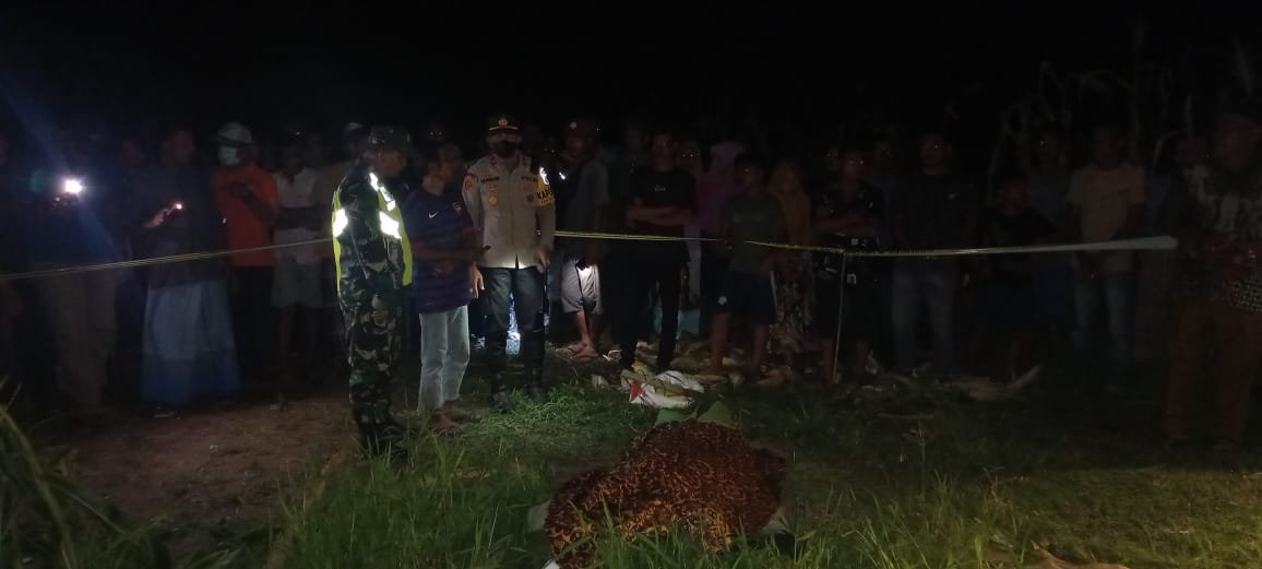 INAFIS Satreskrim Polres Aceh Timur Identifikasi Warga Aceh Utara yang Ditemukan Meninggal di Kebun Jagung di Pantee Bidari