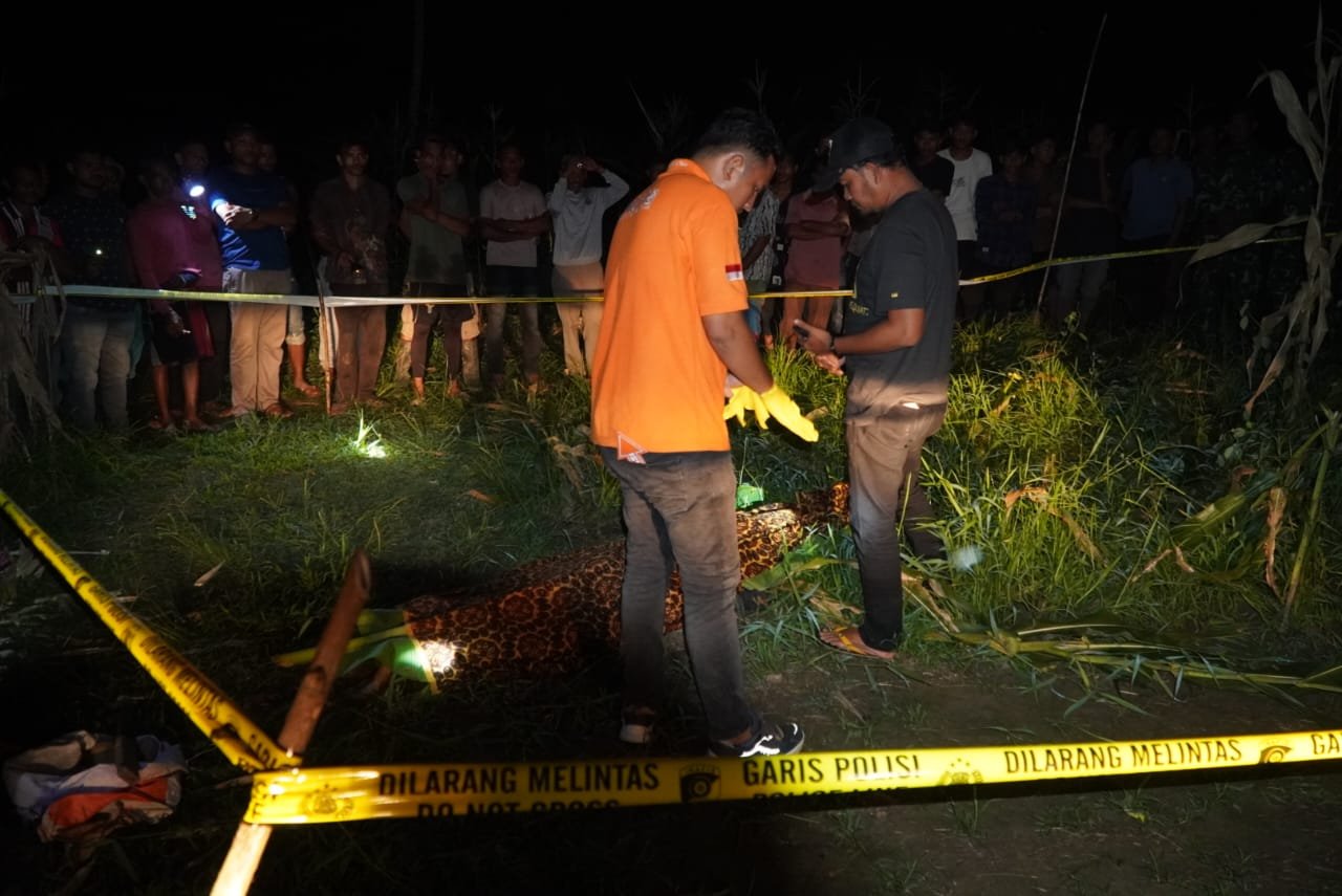INAFIS Satreskrim Polres Aceh Timur Identifikasi Warga Aceh Utara yang Ditemukan Meninggal di Kebun Jagung di Pantee Bidari