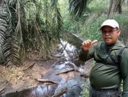 Diduga Limbah PKS Cemari Aliran Sungai Muaro Jambi