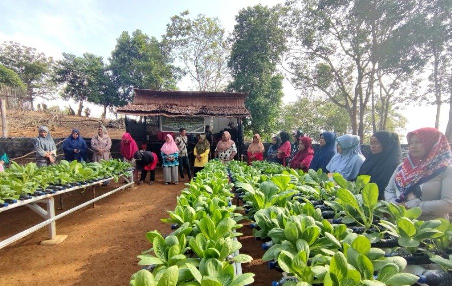 Lewat Program TJSL, PT Timah Tbk Mendukung Kemandirian Ekonomi Masyarakat di Lingkar Tambang