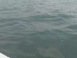 Aktivitas Tambang Timah di Perairan Laut Penagan Kembali Memakan Korban Jiwa