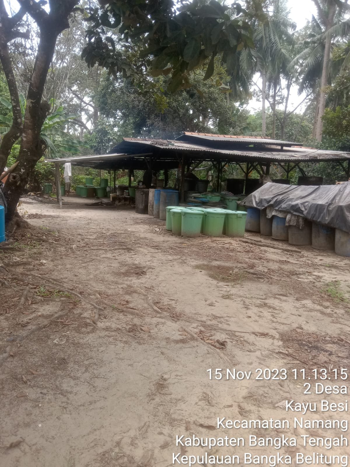 Pabrik Arak Diduga Milik AB Didesa Namang Tanpa tersentuh APH