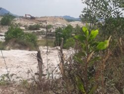 Lokasi Tambang Timah  Yang Sudah Memakan Korban Jiwa Kini Kembali Beraktivitas Kembali Dusun Jongkong