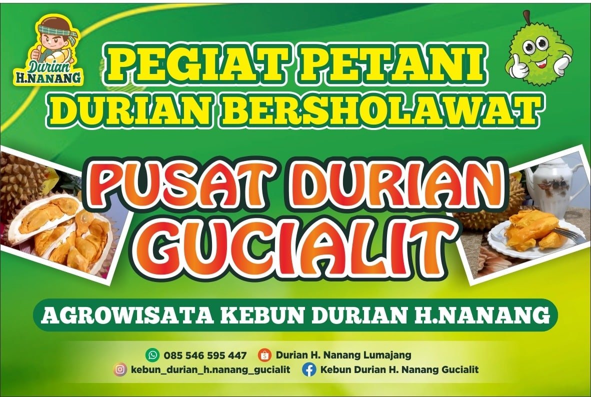 Menikmati Sensasi Durian Terbaik di Kebun Durian H. Nanang Gucialit Kabupaten Lumajang
