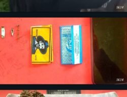 Dua Terduga Pengedar Ganja Ditangkap Satresnarkoba Polres Tanggamus