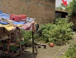 Warga Resah !!! Dadu Kopyok Berjalan Mulus di Kelurahan Pokok Mangga