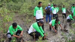 Jaga Ekosistem Pesisir dan Cegah Abrasi, PT Timah Tbk Tanam 12.000 Mangrove di Pesisir Pantai di Kundur