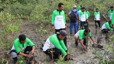 Jaga Ekosistem Pesisir dan Cegah Abrasi, PT Timah Tbk Tanam 12.000 Mangrove di Pesisir Pantai di Kundur