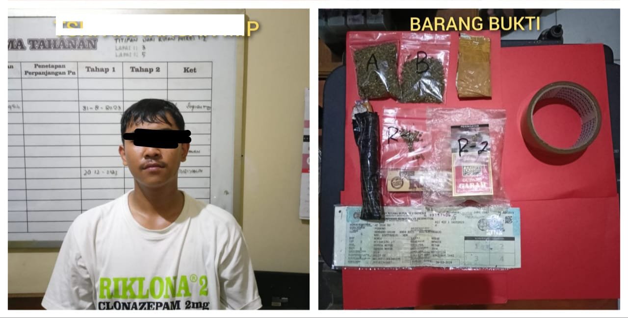 Polres Madiun Kota Berhasil Amankan Tersangka Pengedar Narkotika Jenis Ganja