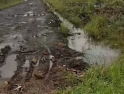 WOW !!! Dihebohkan Desa Tugang Diduga Mafia Tanah inisial SN Gembongnya Merekrut Cukong Parit Tiga Dan Bakit