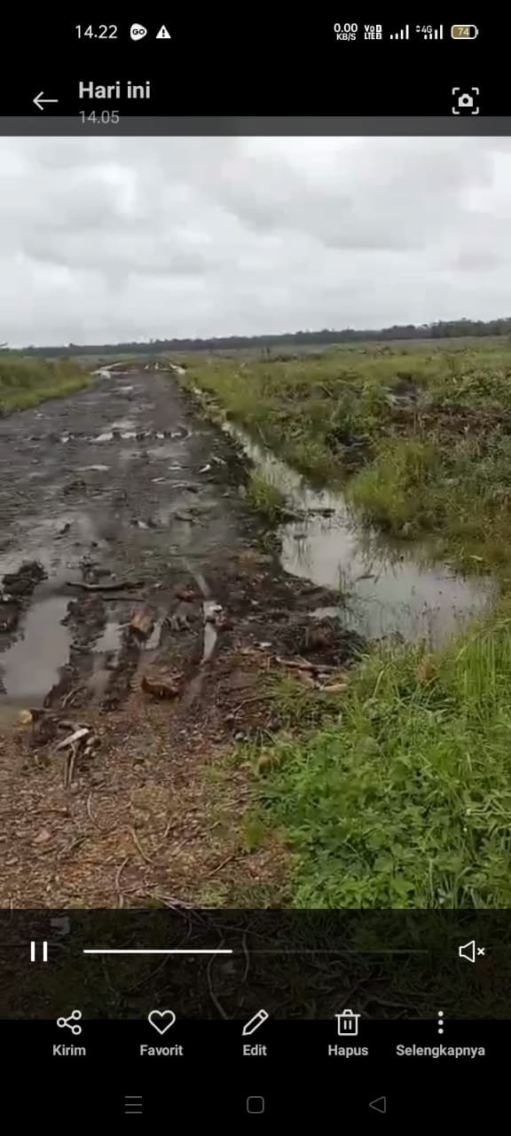 WOW !!! Dihebohkan Desa Tugang Diduga Mafia Tanah inisial SN Gembongnya Merekrut Cukong Parit Tiga Dan Bakit
