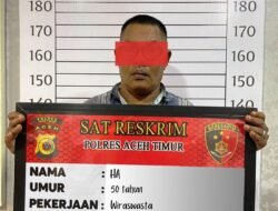 Polres Aceh Timur Amankan Warga Peureulak Barat yang Mengangkut Kayu Olahan Tanpa Kelengkapan Dokumen