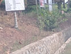 Diduga Mark Up Berita Pekerjaan DD Desa Pematang Balam Ditanggapi Serius Kadis DPMD