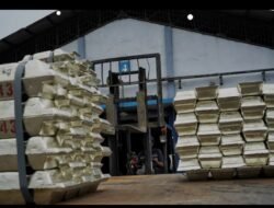 Kerjasama BUMN  PT.Timah Tbk dengan Smelter Swasta Merugikan Negara Triliunan Rupiah