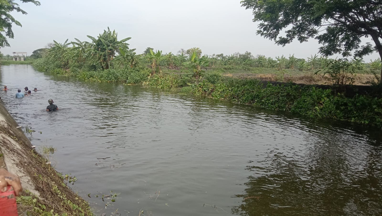 Koramil Karanggeneng Berantas Eceng Gondok