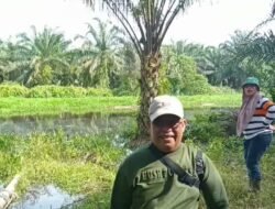 DLH Tanjabtim Tidak Serius Tangani Laporan Dugaan Pencemaran Sungai Lagan