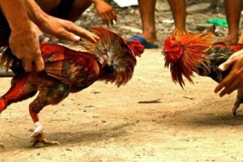 Gawat : Maraknya perjudian di Dusun Suka Banteng Desa Karangsoko, Trenggalek Terkesan di Biarkan Oleh APH Setempat