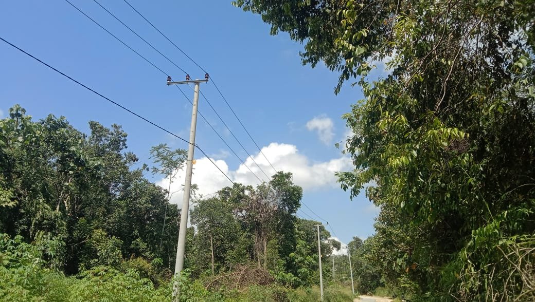 Jaringan Listrik PLN yang belum dialiri Listrik di Kampung Kelian Kecamatan Damai.( R.S)