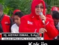 Lolos Ke DPRA Aceh Kak Iin Raih Suara Terbanyak Ke Dua
