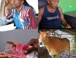 Ketua BPD Dan Sekertaris BPD Menjual Bantuan Sapi Dari Pemerintah Daerah