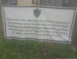Aktivitas Tambang Timah di PT GSBL Dusun Ibul Diduga Jhon Sebagai Pengurus Lokasi Tersebut