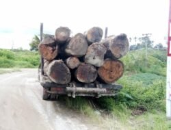 Lokasi Penebangan Kayu di Dolok Silou, Berada di DAS dan Hulu Bah Siturituri dan Bah Sigombur