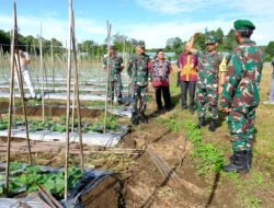 Lahan Kebun 4 Hektar Di Lay Rampung Ditanami Pisang dan Sayur Mayur