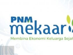 Diduga Menagih Secara Arogansi, Petugas PNM Mekar Bikin Resah Warga Seunuebok Peuntuet