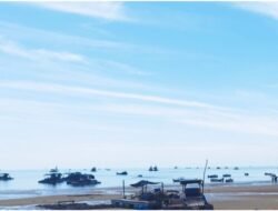 Wow tambang timah di perairan pantai selindung kini sudah mulai kembali beraktivitas