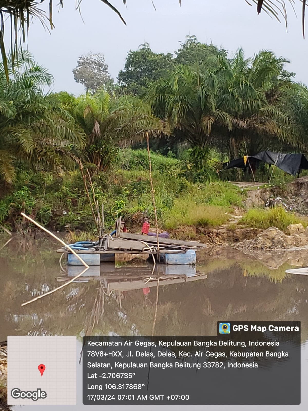 Tambang timah di perkebunan sawit desa dellas tanpa ada tindakan tegas dari aph