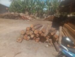 Afong pemilik usaha penampung kayu menghalangi tugas wartawan saat dikonfirmasi