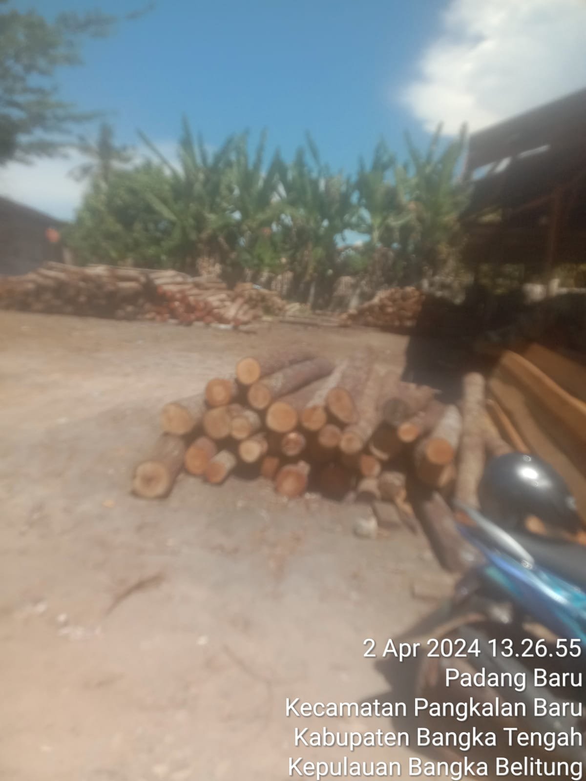 Afong pemilik usaha penampung kayu menghalangi tugas wartawan saat dikonfirmasi